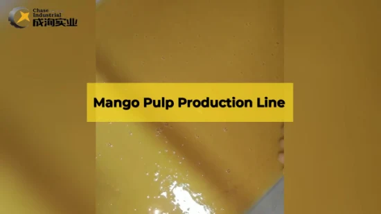 Linea di lavorazione automatica della pasta di succo Macchinari per trucioli secchi industriali Polpa che produce macchina per il mango