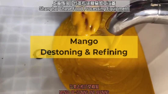 Macchina per il mango della linea di lavorazione del succo di frutta Chase di Shanghai da 1 anno